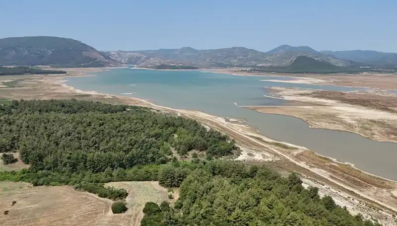 İzmir'de Tehlike Çanları Çalıyor: Suç Rakamları Yüzde 50 Düşüş Gösterdi