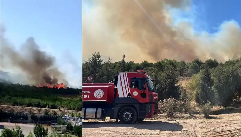 Gebze’de Korkutan Orman Yangını: Ekipler Hızla Müdahale Etti