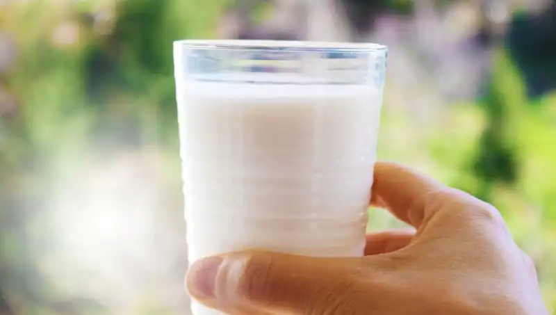 Süt Üretimi ve Sindirim: Şişkinliğe Neden Oluyor mu?