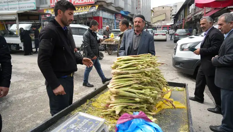 Dağlık Alanlardan Toplanan Şekerin Şaşırtan Faydaları