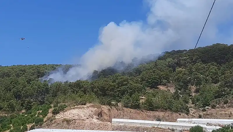 Kumluca'da Fırtına Gibi Yükselen Orman Yangını, Yerel Halkı Tedirgin Etti