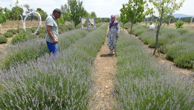 Hobi Olarak Başladılar, Şimdi Kazanç Kapısı Oldu: İşte Başarı Hikayeleri