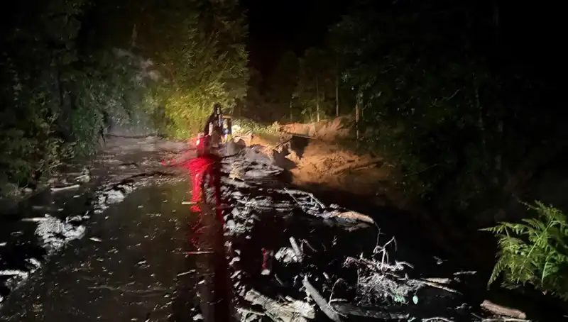 Rize'de Şiddetli Yağışlar Hayatı Olumsuz Etkiliyor: Sel ve Heyelan Alarmı!