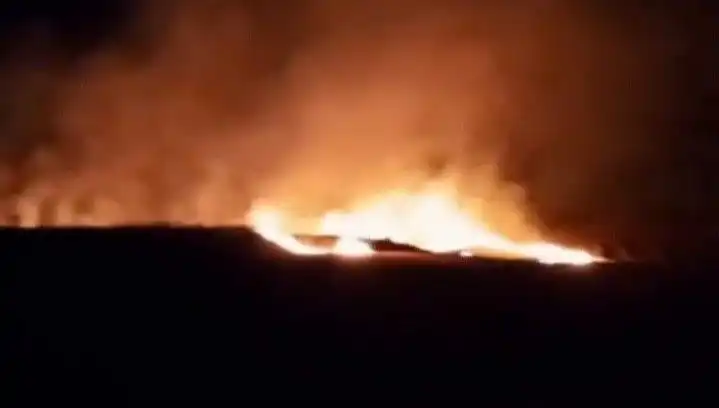 20 Dönümlük Tarım Arazisi Yangını Can Mı Aldı, İşletmeciler Mi Kaybetti?