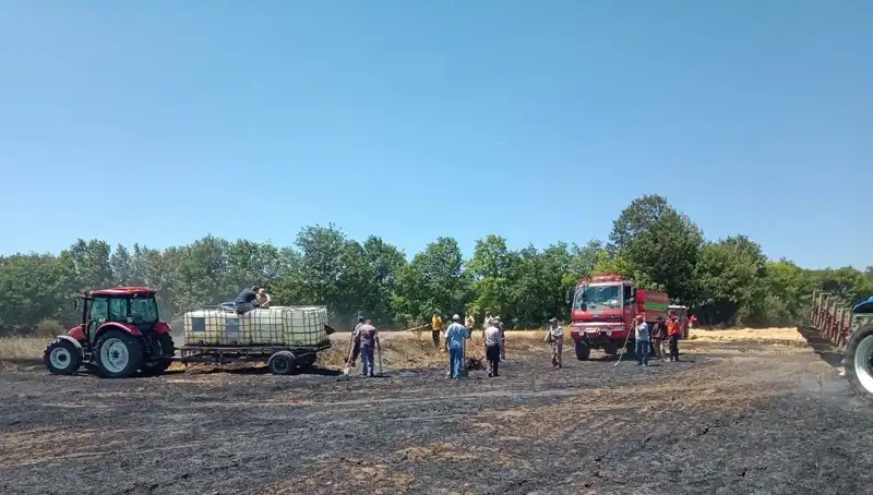 Buğday Tarlasındaki Yangın: 10 Dönüm Zarar Gördü, Üreticiler Endişeli