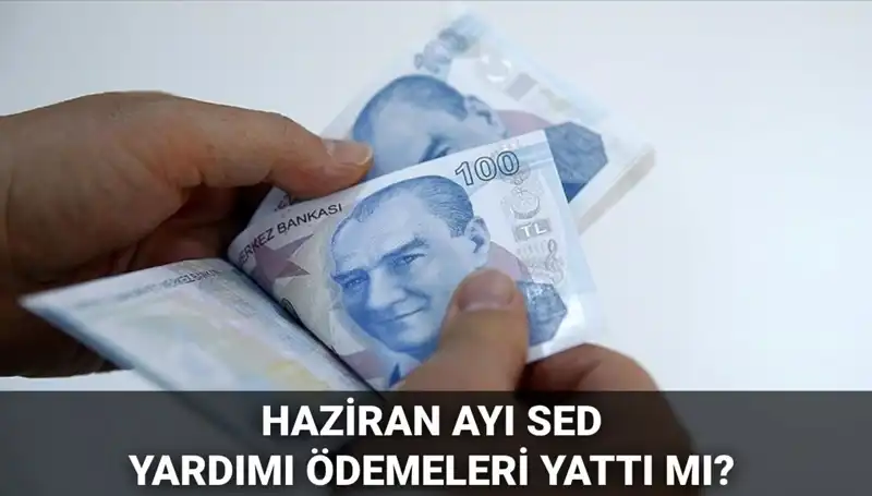 2025 Haziran Ayı SED Ödemeleri: Sorgulama ve Öğrenme Yöntemleri