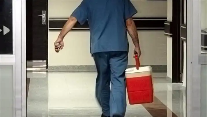 Organ Bağışında Devrim: e-Devlet ve e-Nabız ile Hızlı İşlem Süreci