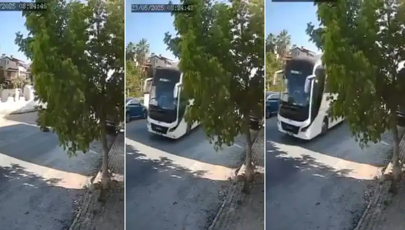 Yolda Yatan Köpeği Ezip Giden Araç, Sokak Hayvanlarının Güvenliğini Yeniden Tartışmaya Açtı