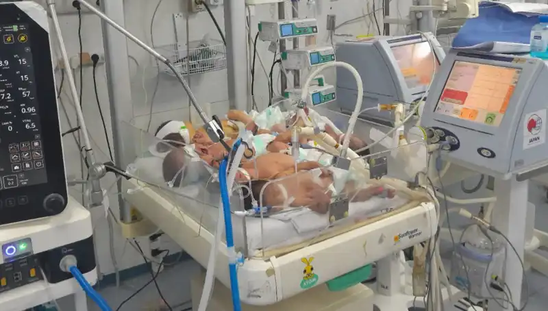 Gazze'deki Doktorlar Zor Durumda: Çoklu Bebekler Tek Kuvözde Yaşıyor!