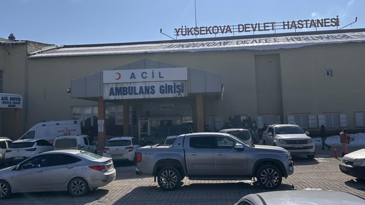 Müfettiş görevlendirildi: Başıboş köpeklerle saldırıya uğrayan çocuk öldü
