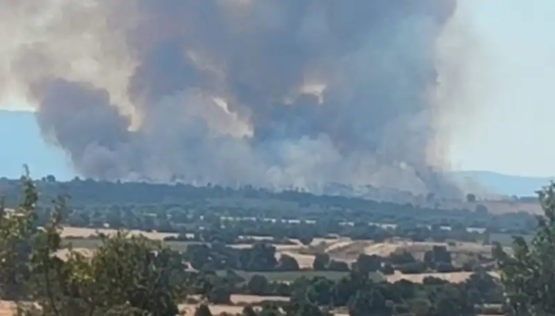 Komşudaki Orman Yangını, Edirne'yi Kara Dumanla Kapladı