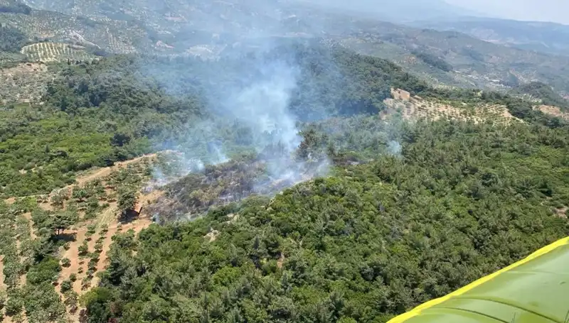 Aydın'da Orman Yangını: Ekiplerin Zorlu Mücadelesi ve Son Durum