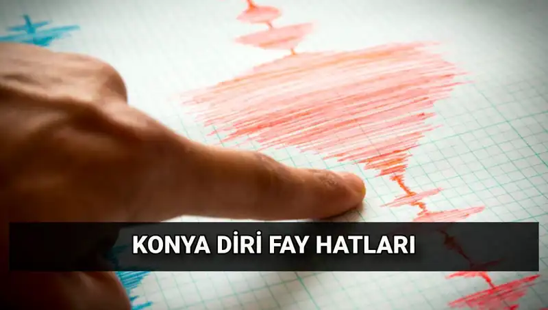 Konya'da Fay Hattı Var Mı? Deprem Tehlikesi Hakkında Bilinmesi Gerekenler
