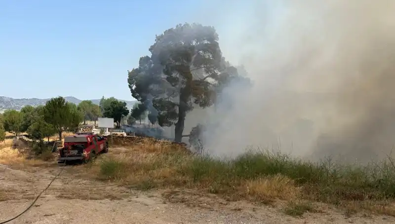 Muğla’da Orman Yangını: Doğa Katliamı ve Müdahale Süreci