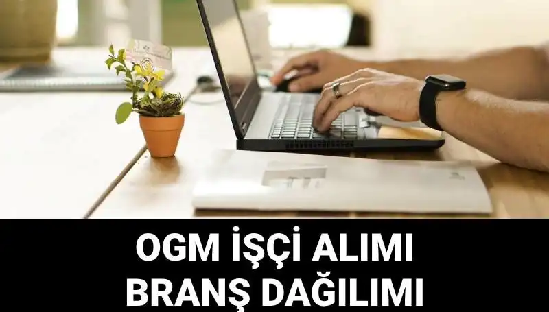Orman Genel Müdürlüğü 4,500 Geçici İşçi Alıyor: Başvuru Şartları ve Süreci