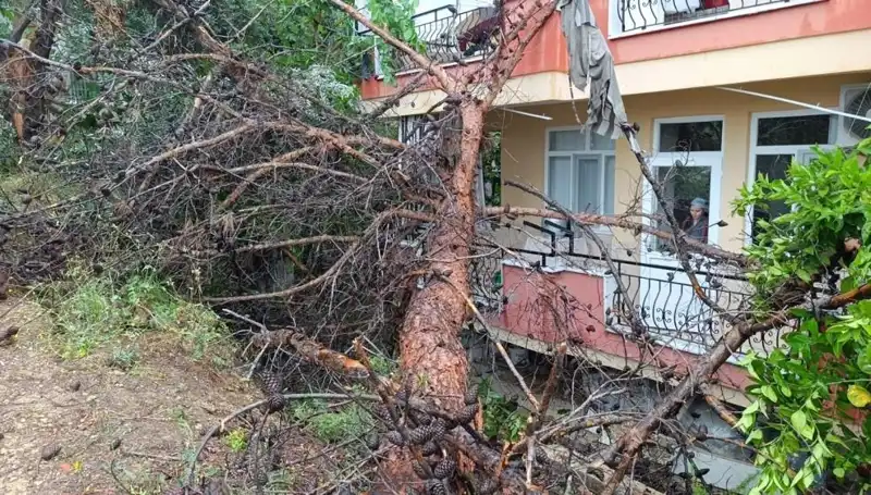Yağmura Dayanamadı! Duran Bina Aniden Devrildi!