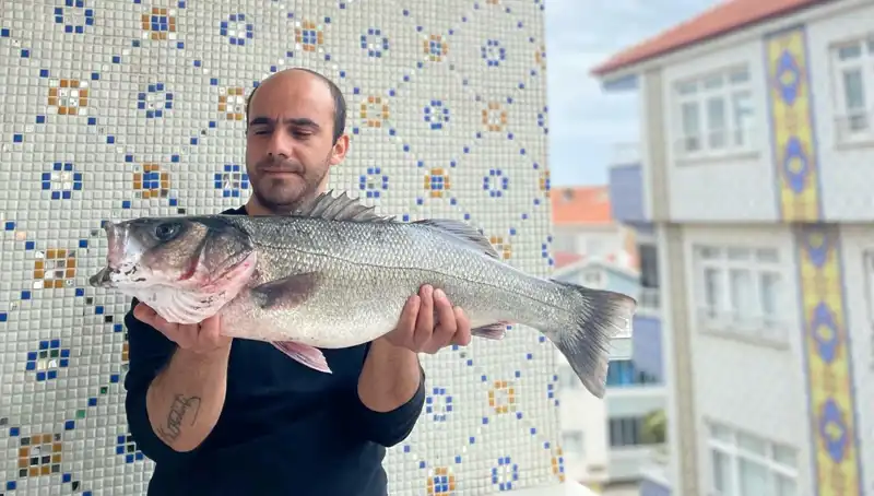 7,5 Kiloluk Dev Levrek Avı: Balıkçının Heyecan Dolu Anları