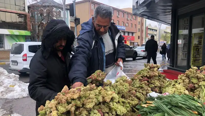 Kendiliğinden Yetişen Vitamin Deposuna Dikkat: Yeni Kanser İlaçları İçin Umut Var