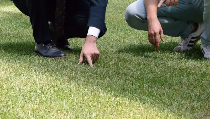 Stadyum Zeminindeki Kriz Sona Eriyor: 10 Gün İçinde Tamamlanacak!