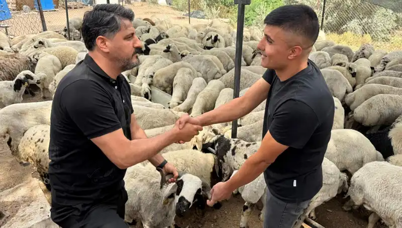 Kurbanlık Alırken Dikkat! Tuz ve Sumak Kullanımı Şişkinlik Riskini Artırıyor