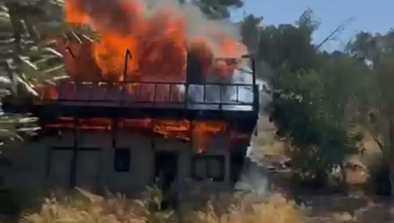 Bodrum'da Yangın Alarmı: Ekipler Hızla Bölgeye Sevk Edildi
