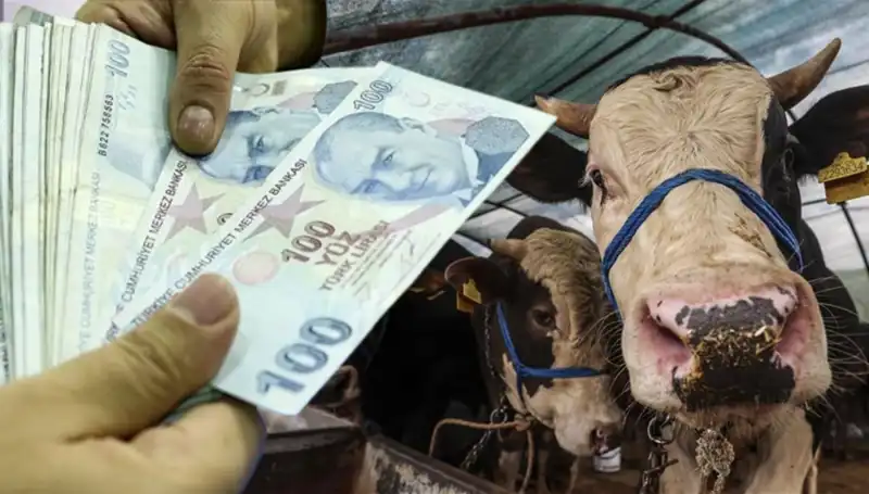 Memur ve Emekli Maaşları Bayram Öncesi Yatacak mı? Cevap Geldi!