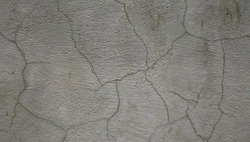 Canlı Beton: Çatlakları Kendiliğinden Onaran Çığır Açıcı İnovasyon