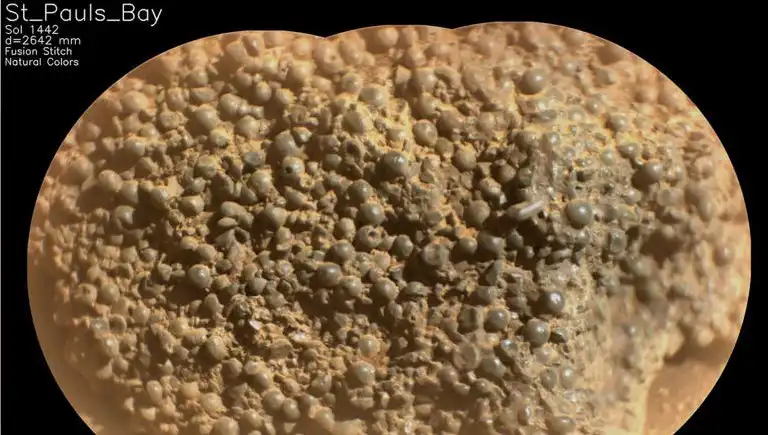 Mars'ta Şaşırtan Keşif: Örümcek Yumurtaları mı Bulundu?