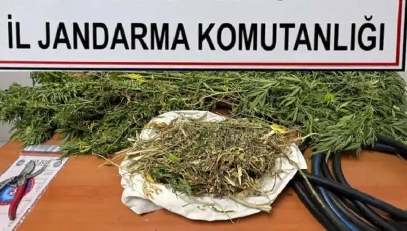 Niğde'de Uyuşturucu Operasyonunda Yakalananlar Şok Etti!