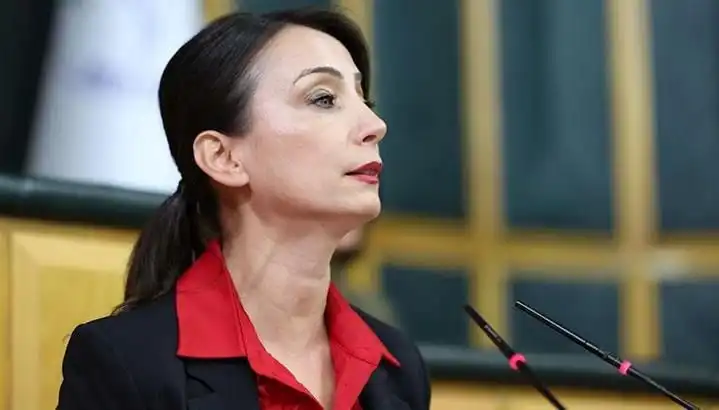 Öcalan'ın Silah Bırakma Çağrısı: DEM Parti Turuna Başlıyor!