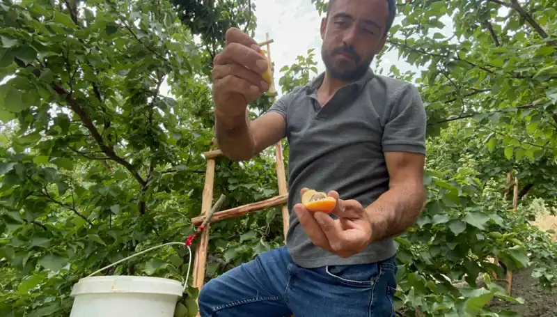 50 TL ile 70 TL Arasında Bulunan O Eşsiz Lezzet: Damakları Şenlendiriyor