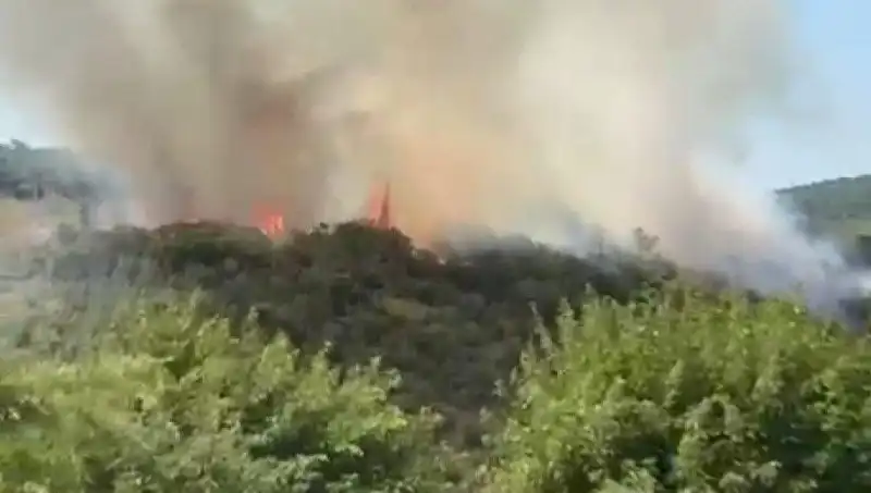 İstanbul'da Korkutan Orman Yangını: Vatandaşlar Acil Tahliye Edildi