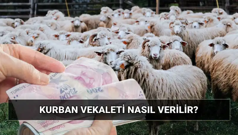 Vekaletle Kurban Kesimi: Diyanet'in 2025 Bedeli ve Süreci