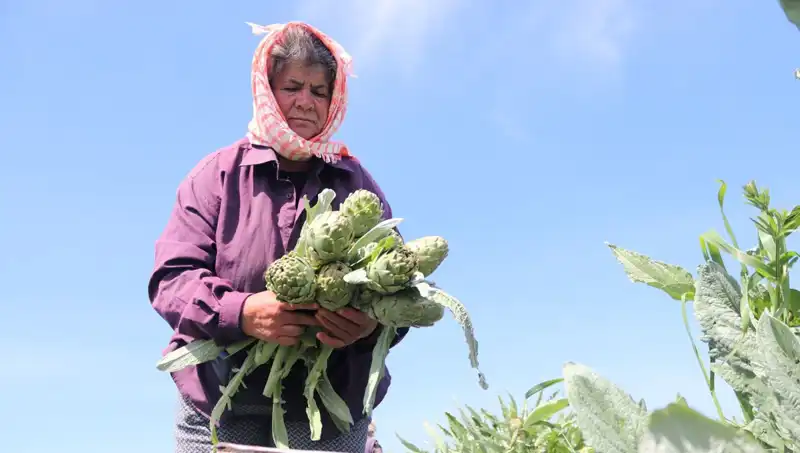 Taze Sebzelerin Fiyatı Yükseliyor: Tezgahta Tanesi 50 TL Olacak mı?