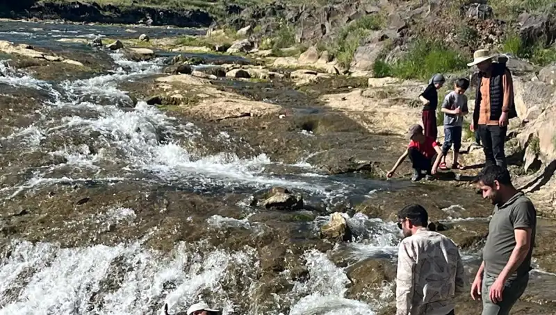 İnanılmaz İnci Kefali Göçü: Doğanın Büyüsü Turistleri Büyüledi
