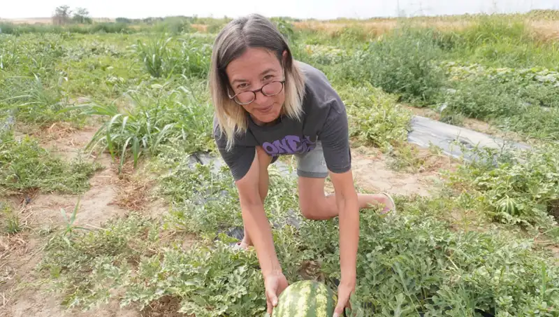 Masa Başı İşini Birakıp Köyüne Dönen Genç Girişimci, Tarıma Yeni Bir Soluk Getirdi