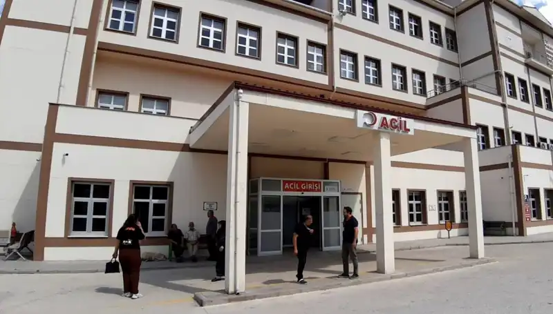 Bolu'da Ayı Avı Kararı: Doğanın Dengesini Korumak mı, Tehlikeyi Davet Mi?