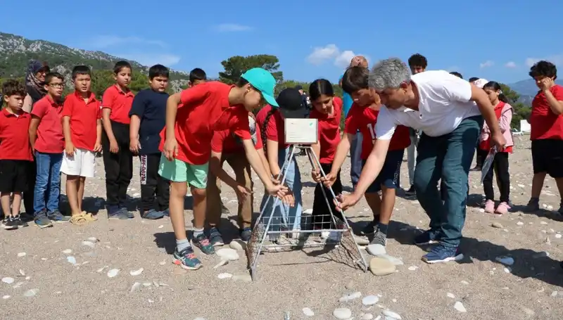 Kemer’de Caretta Caretta Koruma Yasakları Başladı, Plajlar Dikkat Dağıtıyor!