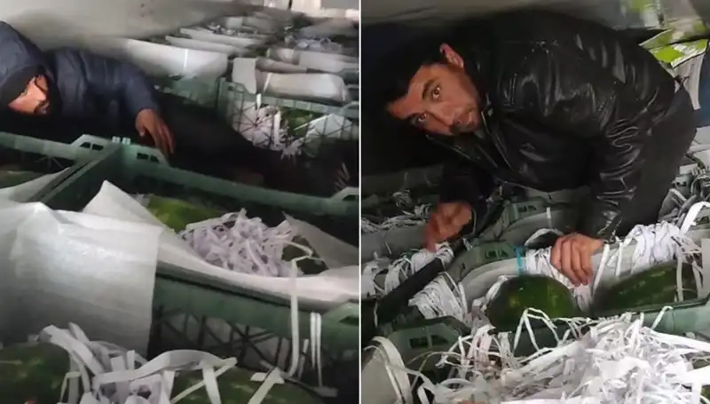 Karpuzların Arasından Sıra Dışı Göçmen Çıkışı: Sınır Hikayeleri