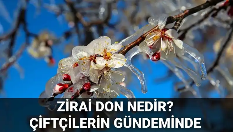 Zirai Don Nedir? Çiftçiler Nelere Dikkat Etmeli?