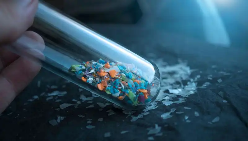 Mikroplastikler Beynimize Ulaşıyor: Sağlığımıza Etkileri Neler?