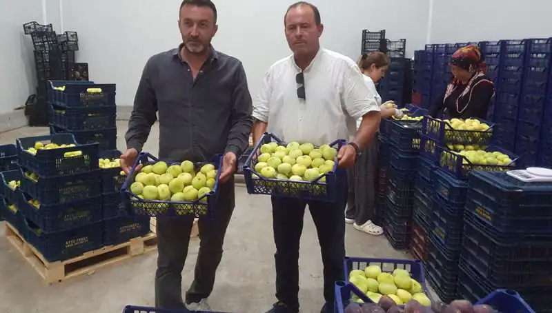Mersinli Çiftçilerin Yüzü Güldü: İhracatta Büyük Talep!