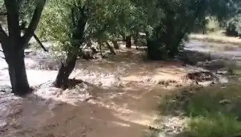 Mersin'de Sağanak Yağış Hayatı Olumsuz Etkiledi: Sel Felaketi