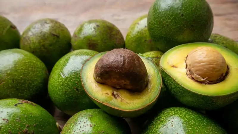 Avokado Çekirdeğini Atmayın! Sağlığınıza Faydaları Şaşırtıcı