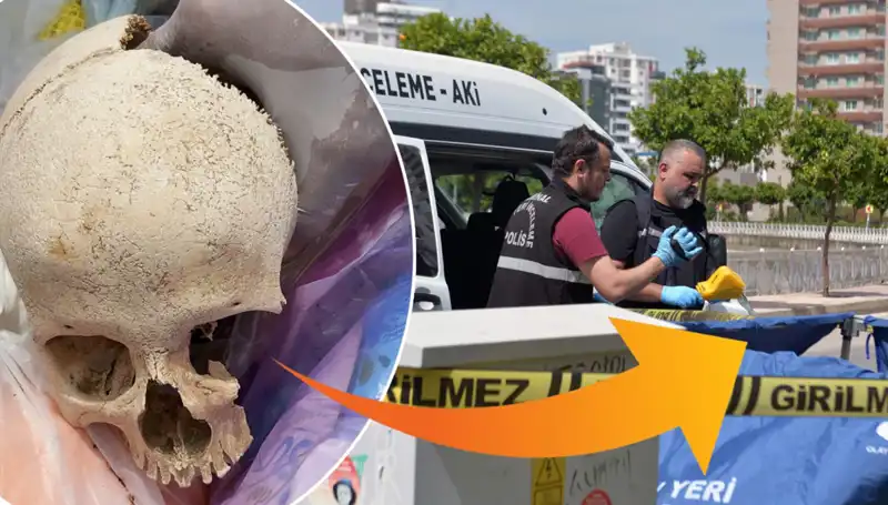 Sitenin Çöpünden Çıkan Kafatası: Doktorun İlgisi Şok Yarattı!