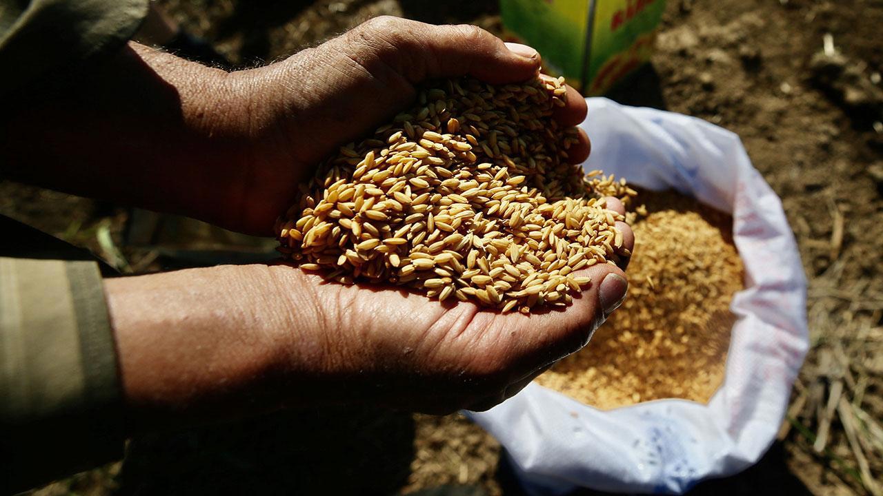 Ata Tohumları Artık Tarım Kredi Marketlerinde de Satılacak!