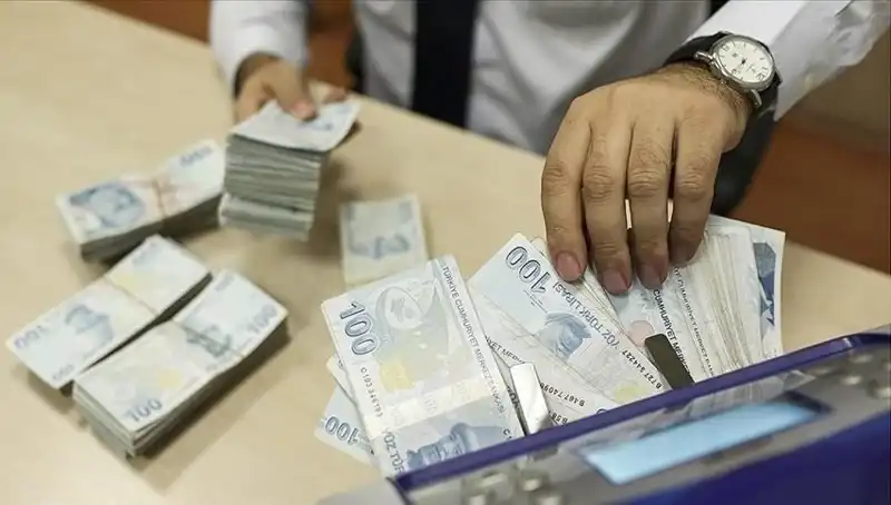 Türkiye'de Bireysel Emeklilik Sistemi: 17,36 Milyon Kişi Tasarruf Yapıyor