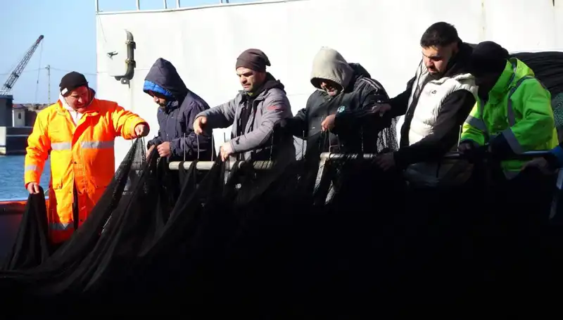 Hamsi Avı Sonrası Tekneler Erken Geri Döndü: Denizlerde Ne Oluyor?