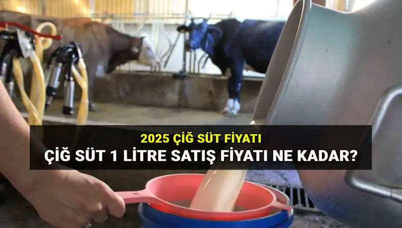 Çiğ Süt Fiyatları 2025’te Ne Olacak? Yeni Tahminler Açıklandı