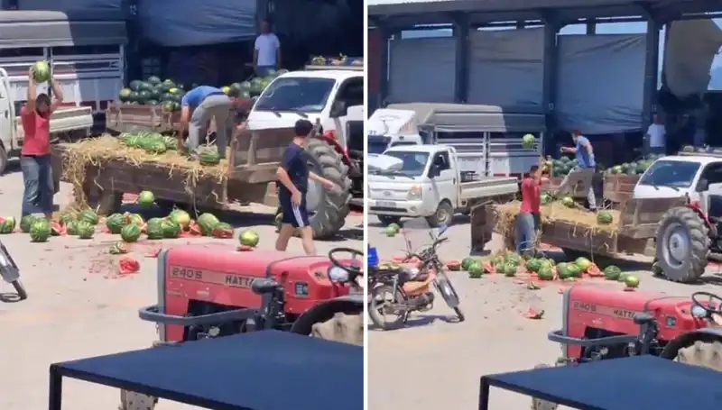 Karpuzları Yere Atıp Parçalayan Çiftçilere Kötü Haber: Ceza Geldi